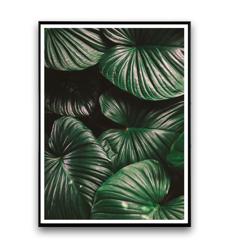 Tropical leaves - botanical print nr. 1 - Wallzilladesign