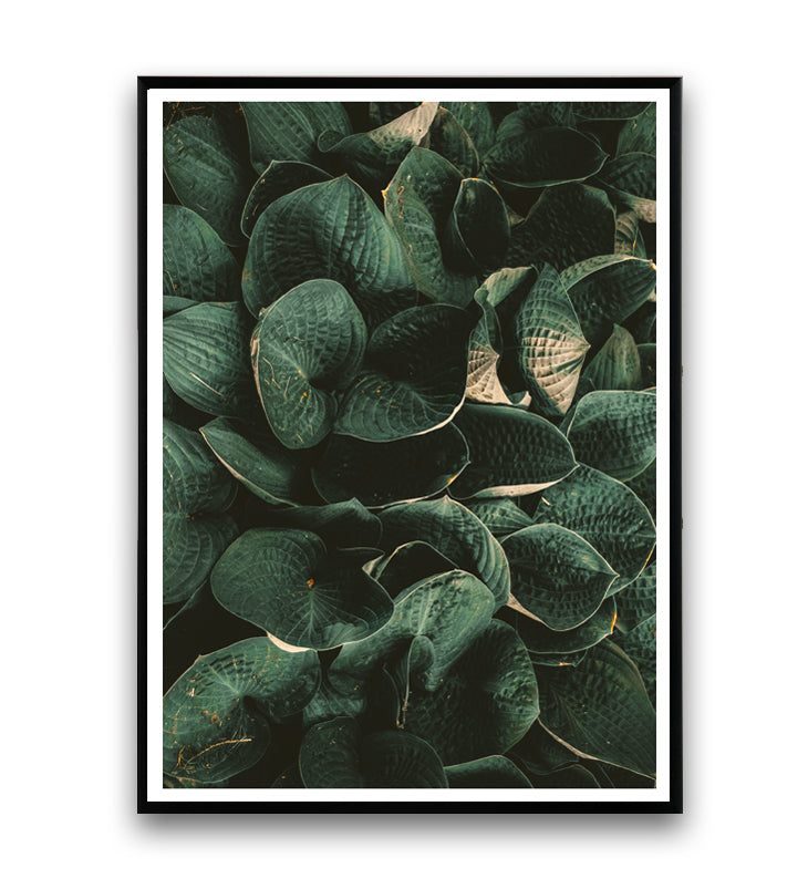 Copy of Copy of Tropical leaves - botanical print nr. 3 - Wallzilladesign