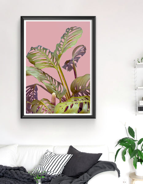 Monstera adansonii art print - Wallzilladesign